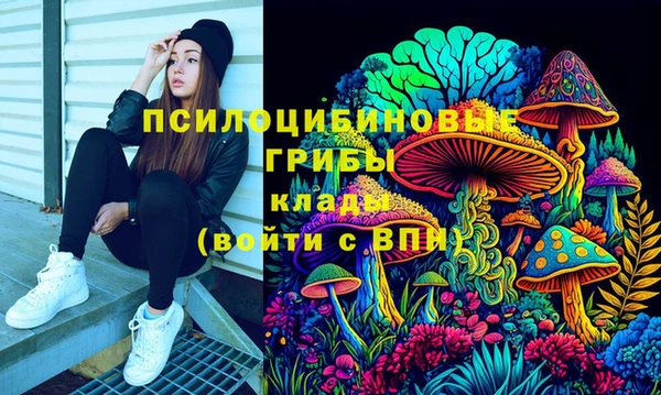 дживик Алексеевка
