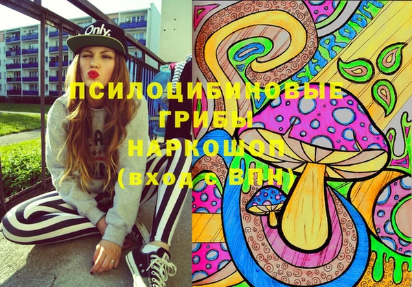 дживик Алексеевка